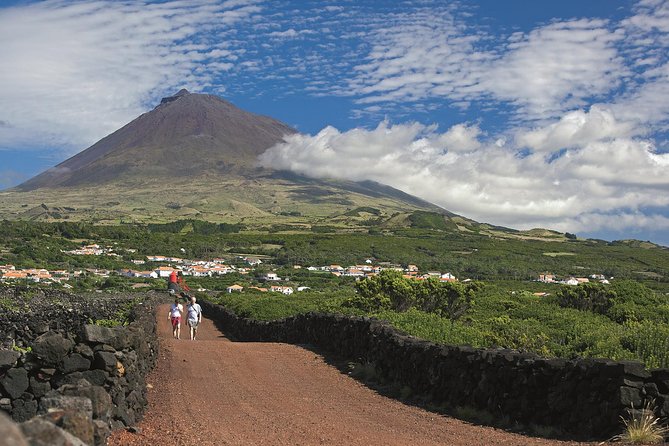 Full-Day Pico Island Tour from Horta - Discover Pico Island on a Day Trip from Horta for $189.85