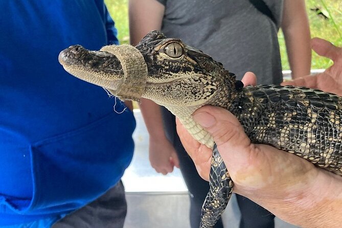 Full Day Plantation -N- Swamp Tour in New Orleans - Returning Over the Bonnet Carre Spillway Bridge