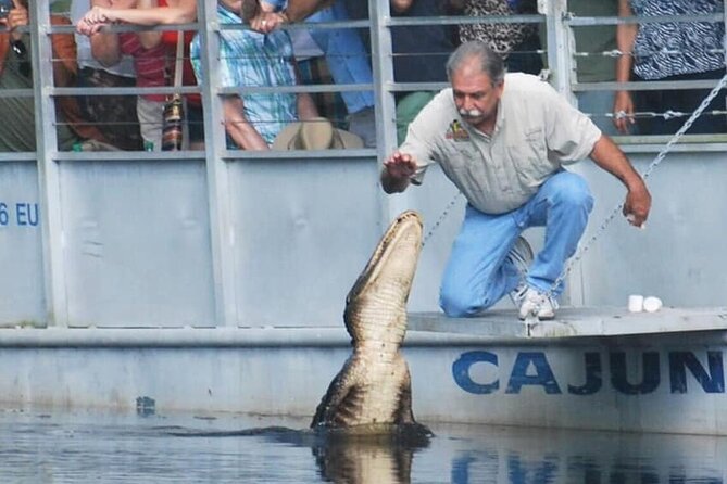 Full Day Plantation -N- Swamp Tour in New Orleans - The Experience Guides and Customer Praise