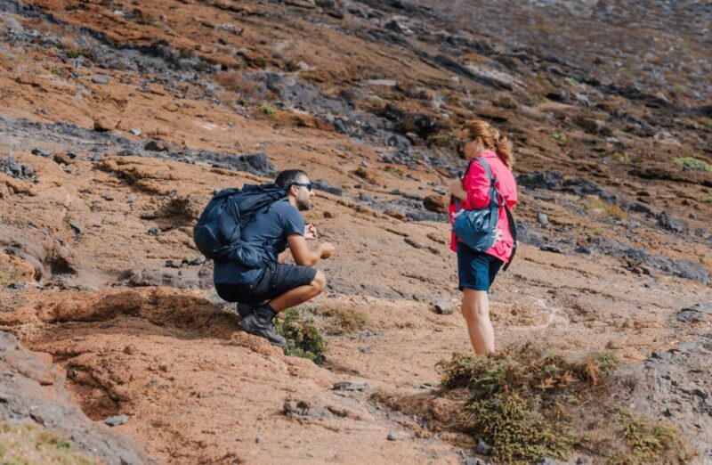 Full Day Ponta de São Lourenço - Natural Reserve - Casa do Sardinha: The Rest Stop and Scenic Viewpoint