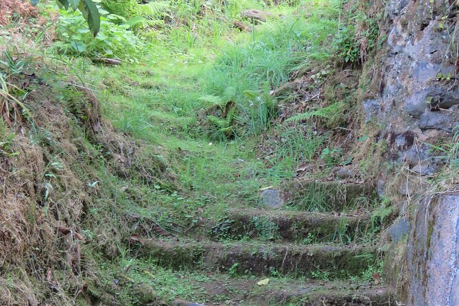 Full Day Private 4x4 Adventure in Madeira - Logistics and Practicalities of the Tour