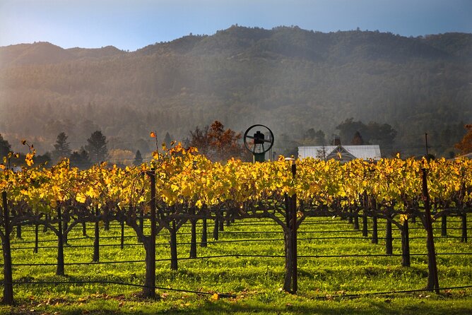 Full-Day Private Amador County Wine Tour from San Francisco - Additional Information on Tour Inclusions and Pricing
