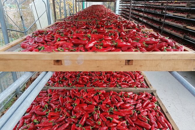 Full Day Private Basque French Countryside from San Sebastian - Logistics and Practical Considerations