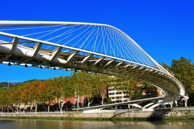 Full-day private Bilbao tour (Guggenheim museum & full pintxo lunch included) - The Expertise of Guides and Notable Guest Praise
