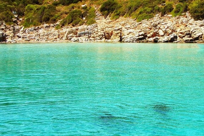 Full-Day Private Boat Cruise from Bodrum - Pabuç Burnu: Calm Waters and Fresh Fruits