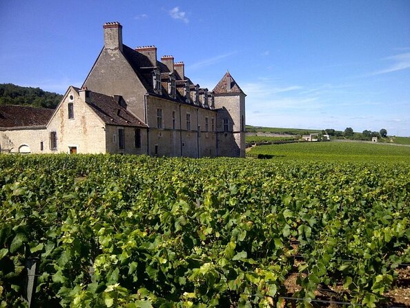 Full-day Private Burgundy Wine Route Tour from Beaune - Key Points