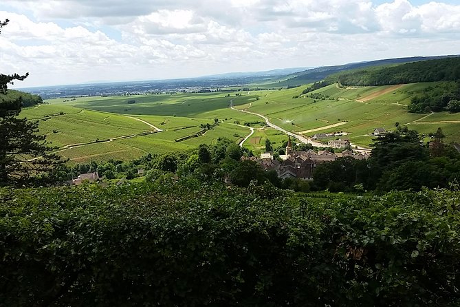 Full-day Private Burgundy Wine Route Tour from Beaune - The Château de Vougeot Experience