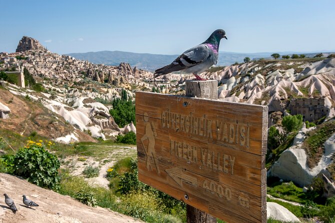 Full Day Private Cappadocia Tour (Guide & Driver) - Pigeon Valley Vista Point: Overlooking the Scenic Valley