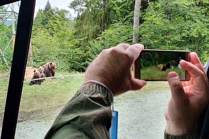 Full-Day Private Carpatian Garden with Dracula's Fortress - Wild Brown Bears - Key Points