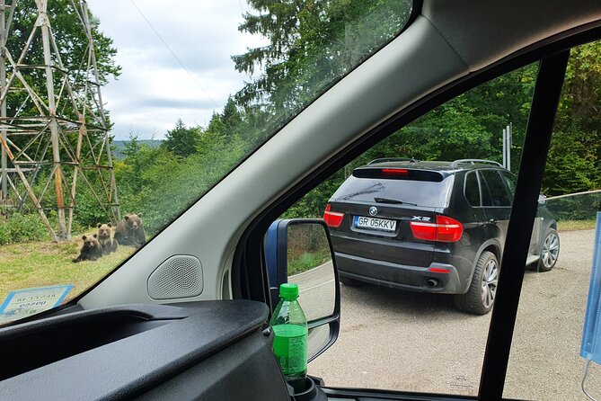 Full-Day Private Carpatian Garden with Dracula's Fortress - Wild Brown Bears - Booking, Cancellation, and Practical Tips