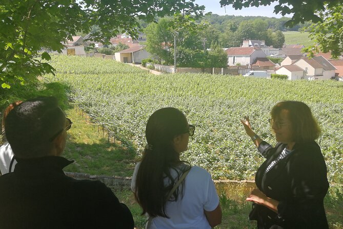 Full-Day Private Champagne Tasting in Reims and its Vineyards - Exploring Reims City Landmarks and Local Charm