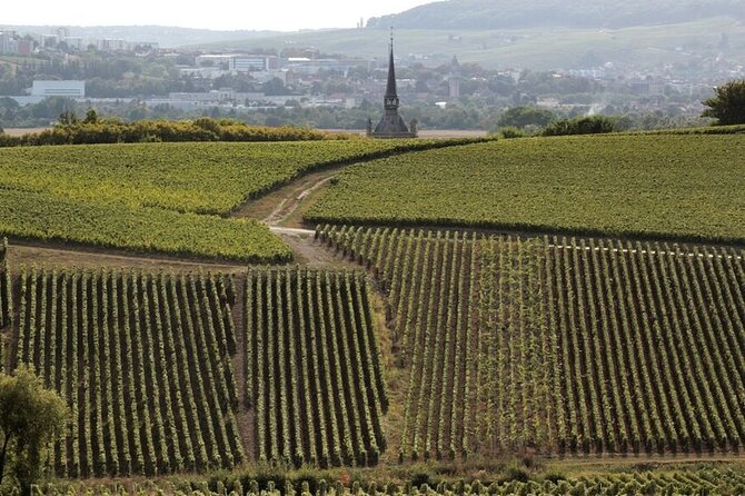 Full-Day Private Champagne Tasting in Reims and its Vineyards - Returning to Paris with a Full Day of Experiences