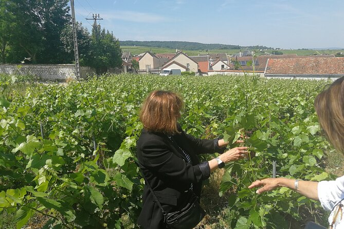 Full-Day Private Champagne Tasting in Reims and its Vineyards - Tour Logistics and Practical Details