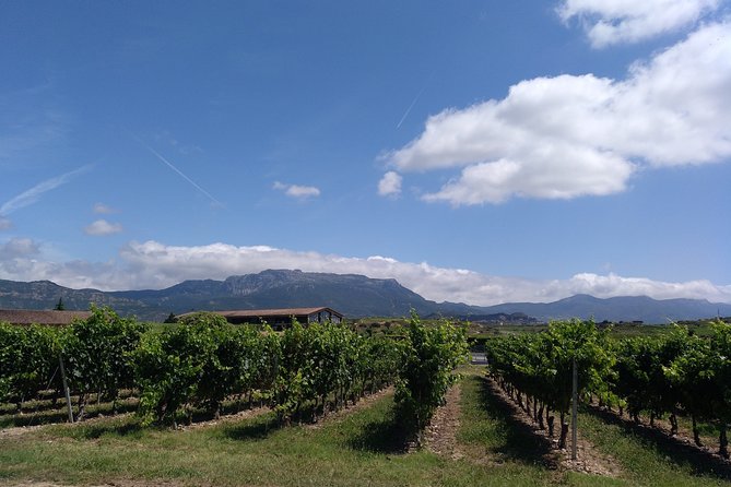 Full-Day Private Cultural and Gastronomic Adventure in Rioja - Vineyard Tours and Tasting Experiences