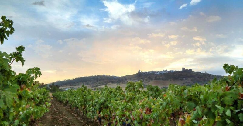 Full-Day Private Cultural Tour in Evora and Monsaraz - Key Points