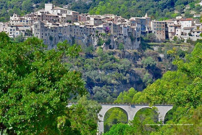 Full-Day Private Custom-Made Cannes Shore Excursion - A Glamorous Stop at Monaco and Monte Carlo Casino