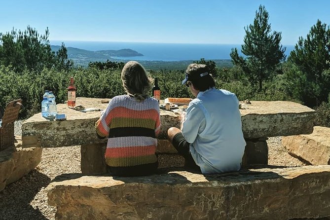 Full-Day Private Custom-Made Cannes Shore Excursion - Logistics: Transport and Convenience