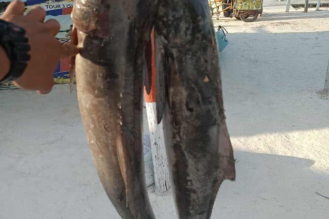 Full Day Private Deep Sea Fishing in Holbox - The Fishing Gear and Techniques Used