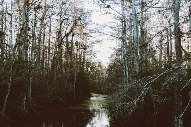 Full-Day Private Everglades and Miami City Tour - Ocean Drive on Miami Beach: Iconic Streets in 10 Minutes