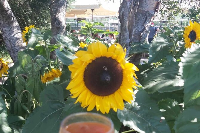 Full Day Private Golden Circle and Hot Springs Tour in Hvammsvík - Returning to Reykjavik with Scenic Views