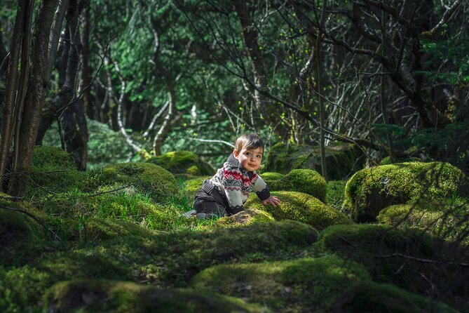 Full-Day Private Golden Circle Photography Tour in Iceland - Professional Photography and Personalized Guidance