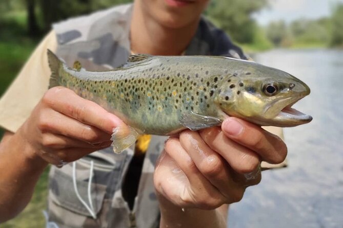Full Day Private Guided Fishing Charter along the Isonzo Front - The Significance of the Isonzo (Soca) River and Its Fish Species