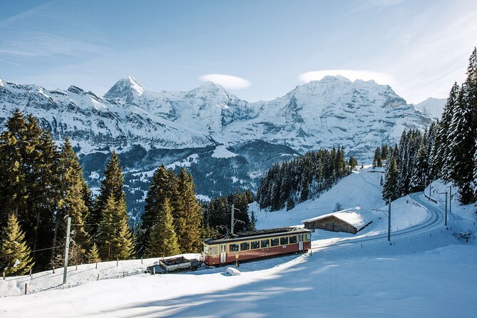 Full Day Private Guided Scenic Train Tour to the Swiss Alps - Key Points