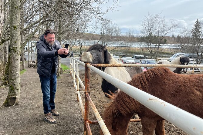 Full Day Private Guided Tour in Golden Circle of Iceland - Logistics and Convenience of the Private Tour