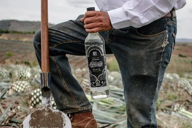 Full Day Private Guided Tour of Arandas Jalisco Distilleries - Cancellation Policy and Booking Flexibility