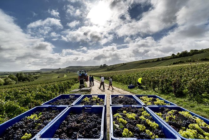 Full-Day Private Guided Tour of Champagne wih Hotel Pickup - Visiting Saint Peter’s Abbey and Dom Perignon’s Final Resting Place