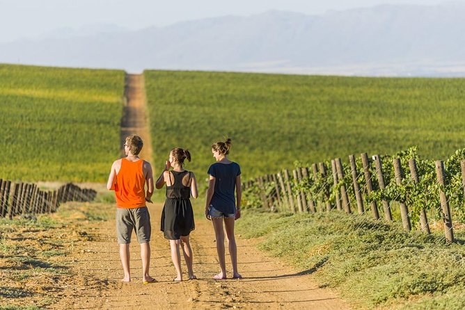 Full-Day Private Guided Tour of Champagne wih Hotel Pickup - Indulging in a Gourmet French Lunch with Champagne