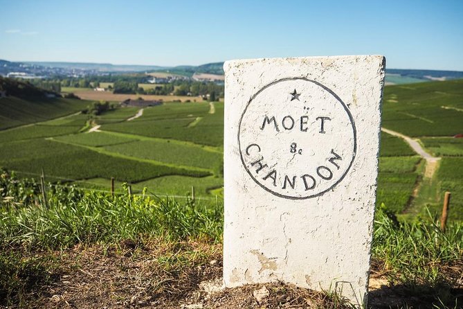 Full-Day Private Guided Tour of Champagne wih Hotel Pickup - The Comfort and Convenience of Private Transport