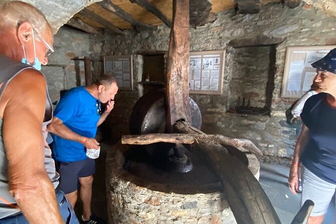 Full-Day Private highlights tour in Naxos island - Logistics and Practical Tips for the Tour