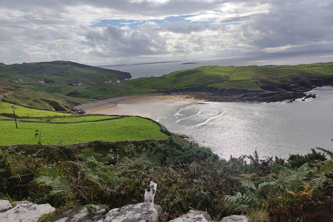 Full Day Private Luxury Tour in Inishowen Donegal - Pick-up and Transportation in Style with Mercedes Benz V Class