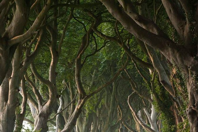 Full Day Private Luxury Tour of Causeway Coast (Giants Causeway) - Ballintoy Harbour: Tranquil Coastal Charm