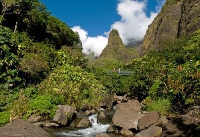 Full Day Private Maui Tour - Discover the Full Day Private Maui Tour – A Luxurious Custom Experience