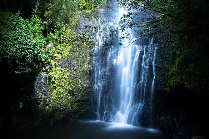 Full Day Private Maui Waterfall, Beach & Hana Tour - Key Points