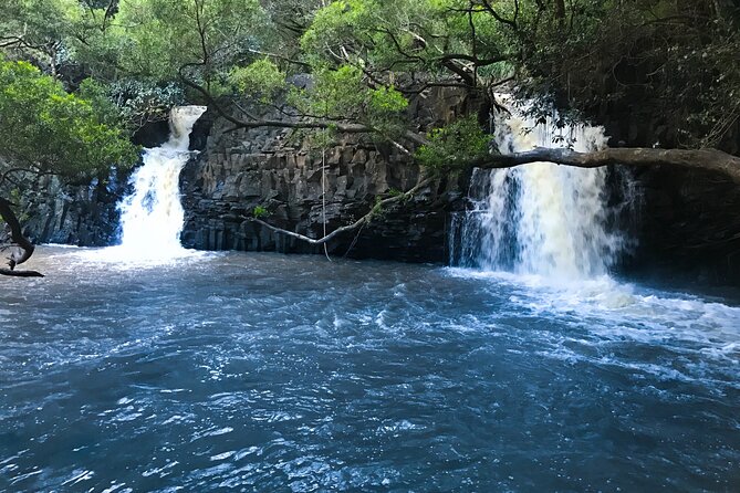 Full Day Private Maui Waterfall, Beach & Hana Tour - Discovering Waterfalls at Puaa Kaaa State Park
