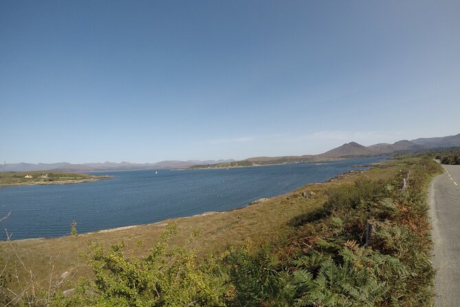 Full-day Private Mizen Head tour from Killarney - Coastal Views from Toormore and Durrus