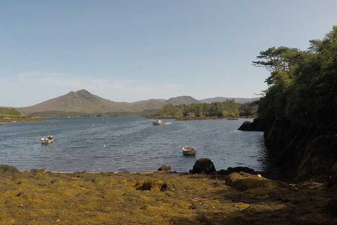 Full-day Private Mizen Head tour from Killarney - Limitations and Considerations