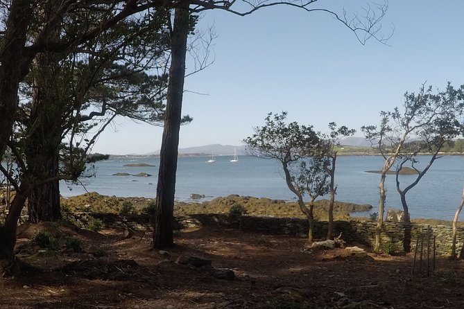 Full-day Private Mizen Head tour from Killarney - Who Would Enjoy This Tour Most?