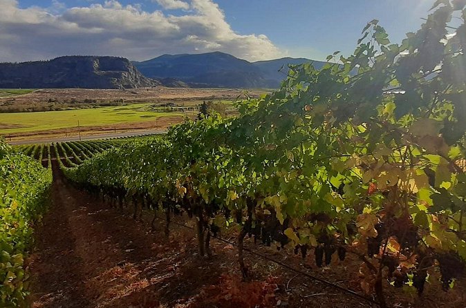 Full-Day Private Oliver & Osoyoos Wine Tour from Kelowna - Phantom Creek Estates: Gourmet Pairings and Seasonal Flavors