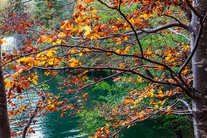 Full-Day Private Plitvice Lakes National Park Tour from Split - Discovering the Lower Lakes and the Park’s Beauty