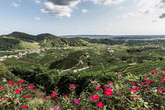 Full day Private Prosecco Tour, with certified Sommelier - Flexibility and Personalization: Lunch and Additional Options