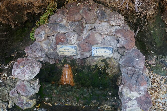 Full-Day Private São Miguel Tour with Furnas and Hot springs - Witnessing Geothermal Activity at Caldeira das Furnas