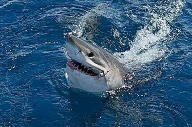 Full Day Private Sportfishing Charter in Fort Lauderdale - Flexibility and Weather Policies