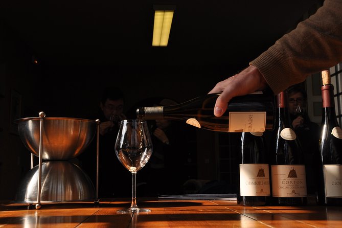 Full Day Private Tour 10 Premiers & Grands Crus, The Best of Burgundy - Key Points