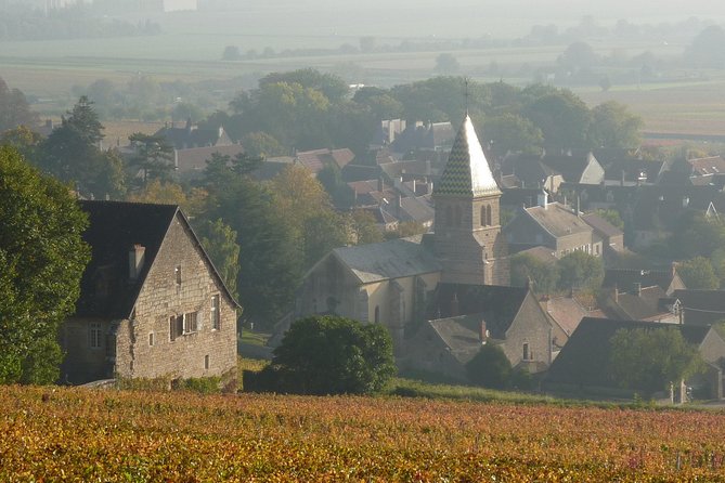 Full Day Private Tour 10 Premiers & Grands Crus, The Best of Burgundy - Visiting an Acclaimed Estate in Côte de Beaune