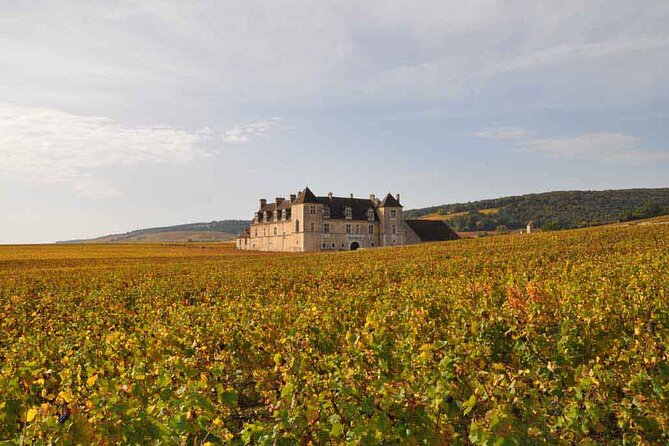 Full Day Private Tour 10 Premiers & Grands Crus, The Best of Burgundy - Burgundy’s Finest Lunch in a Family-Run Estate