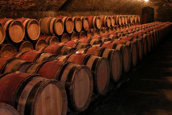 Full Day Private Tour 10 Premiers & Grands Crus, The Best of Burgundy - The Exclusive Experience in Private Wineries